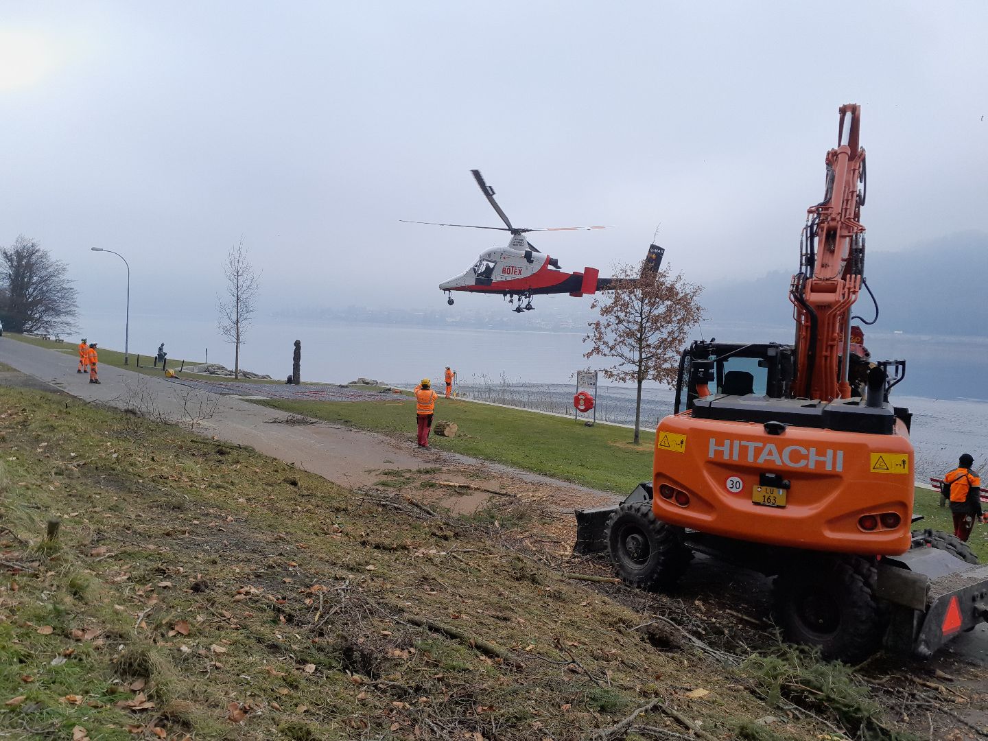 Spezial- und Parkholzerei